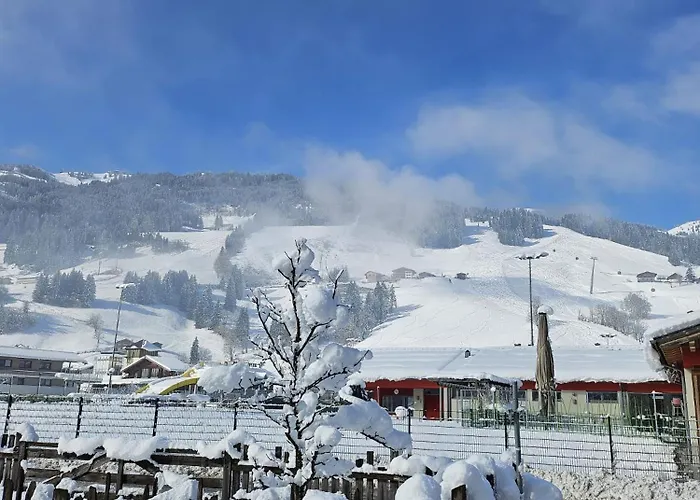 Апартаменты Langwallner