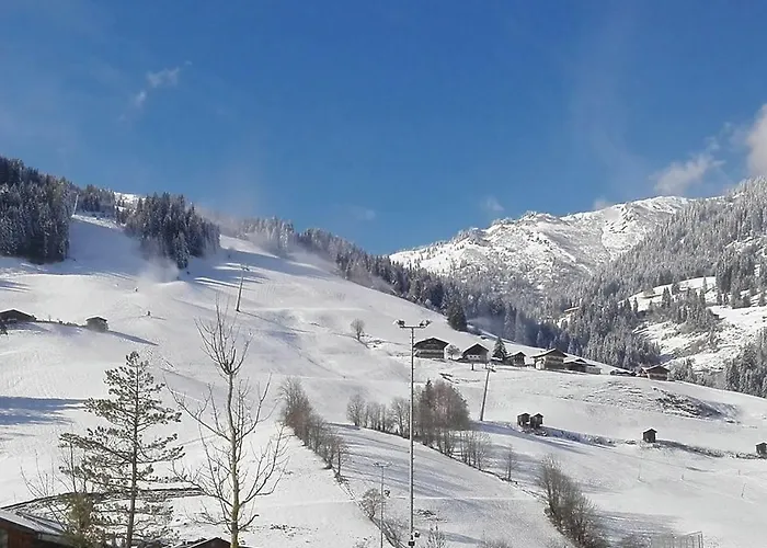 Апартаменты Langwallner *